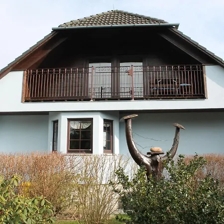 Modern In With Large Garden *